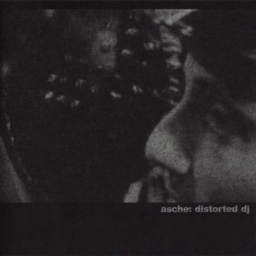 Distorted DJ by Asche - album cover