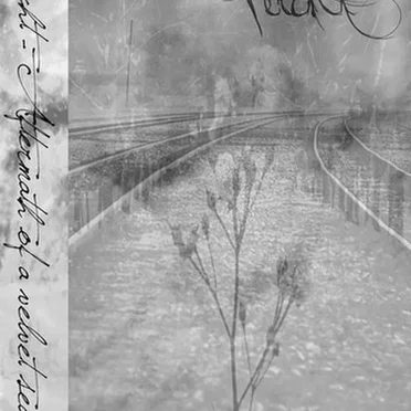 The Aftermath of a Velvet Season by Percht - album cover