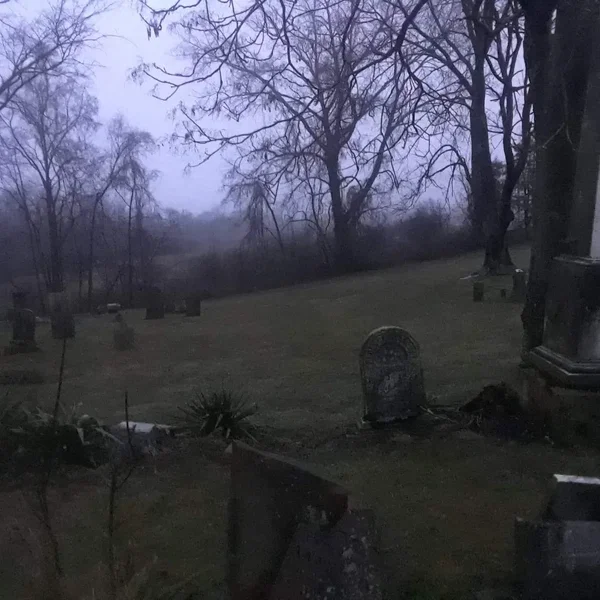 Where Did You Sleep Last Night