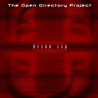 Dried Lip by The Open Directory Project - album cover