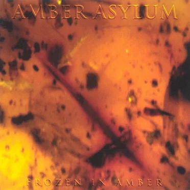 Frozen in Amber by Amber Asylum - album cover