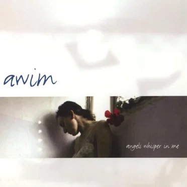 Angels Whisper in Me by AWIM - album cover