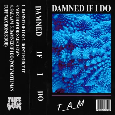 Damned If I Do