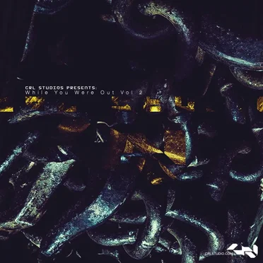 CRL Studios Presents: While You Were Out, Volume 2 by Various Artists - album cover