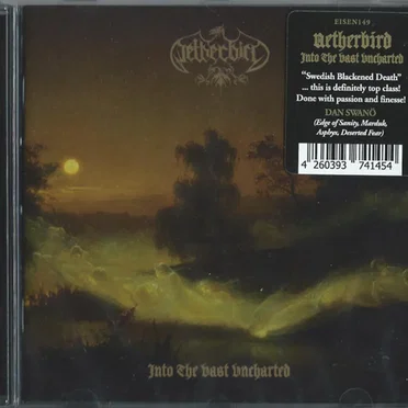 Into the Vast Uncharted by Netherbird - album cover