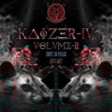KAIZER.04-VOLUME.2 by Various Artists - album cover