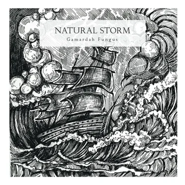Natural Storm by Gamardah Fungus - album cover