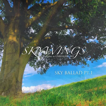 SKYWINGS