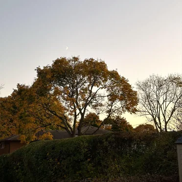 The Sun Feels Different in September