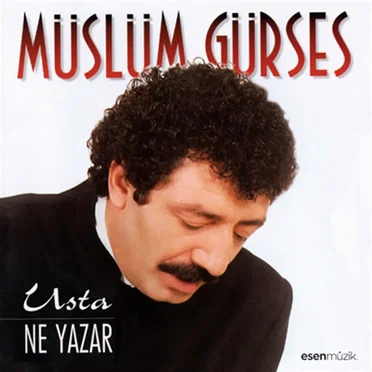 Usta / Ne Yazar by Müslüm Gürses - album cover
