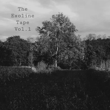 The Exoline Tape, Vol. 2 by exoline - album cover