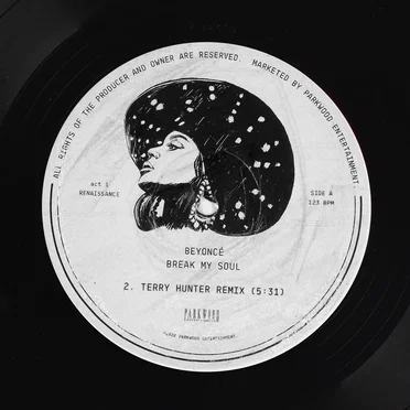 BREAK MY SOUL (Terry Hunter remix)