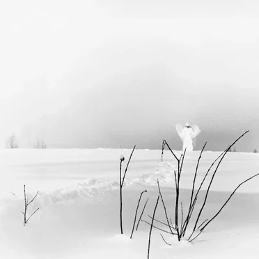 In frostigen Tälern by Timo Rautiainen & Trio Niskalaukaus - album cover