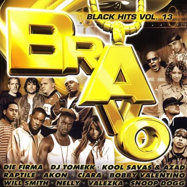 Bravo Black Hits, Vol. 13 by Various Artists - album cover