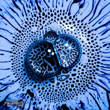 XKPSM005