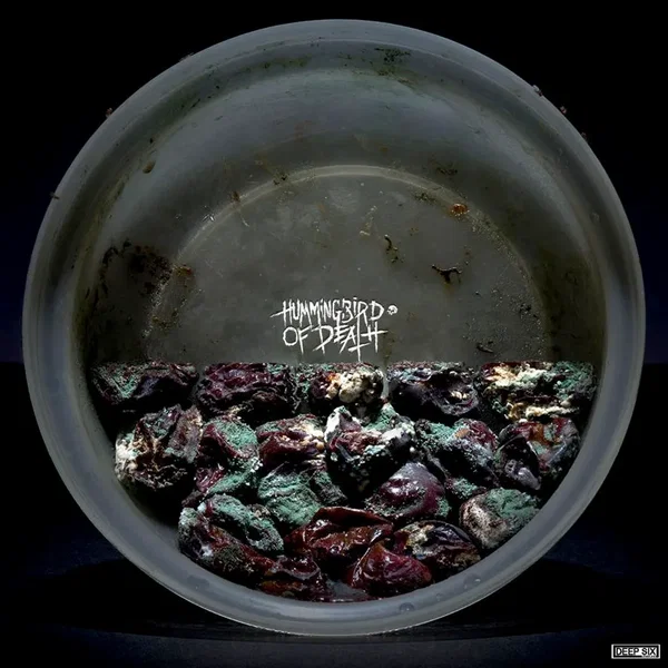Cold World / Hummingbird of Death
