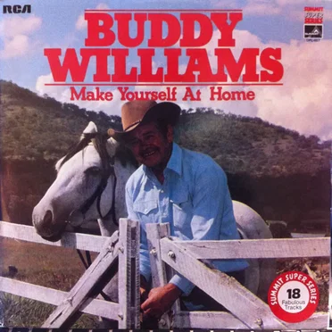 Make Yourself at Home by Buddy Williams - album cover