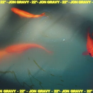 22" Compilation by Jon Gravy - album cover