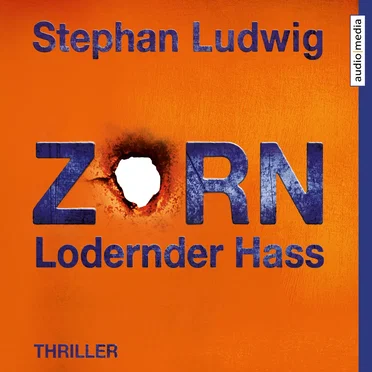 Zorn: Lodernder Hass by Stephan Ludwig - album cover