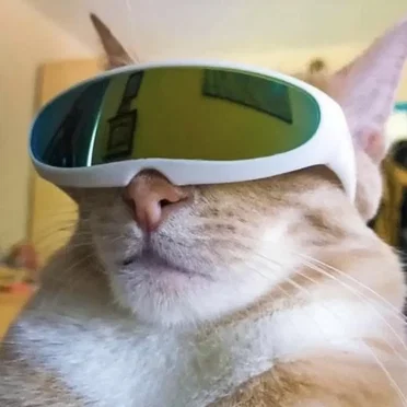 STONED CAT SUMMER by 3mouth - album cover