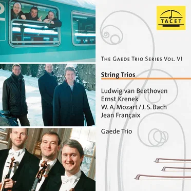 The Gaede Trio Series, Vol. VI