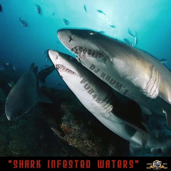 Shark Infested Waters