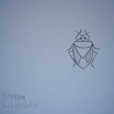 Stinkbug