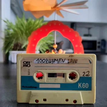 Das Bootleg