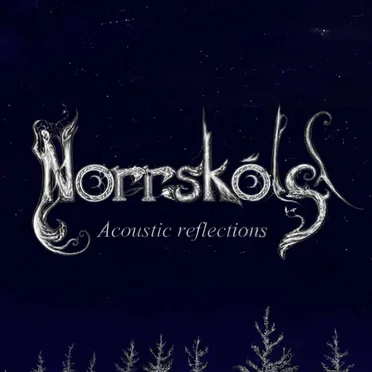 Acoustic Reflections