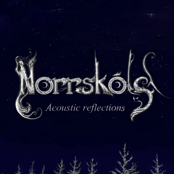 Acoustic Reflections
