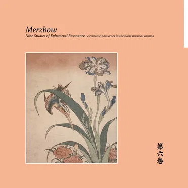 Nine Studies of Ephemeral Resonance, Volume 6