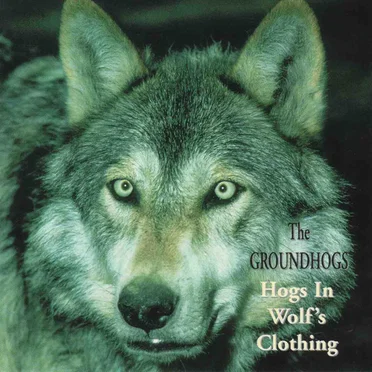 Hogs in Wolf’s Clothing