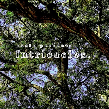 intricacies.