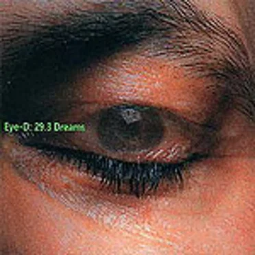 Eye-D: 29.3 Dreams
