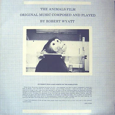 The Animals Film