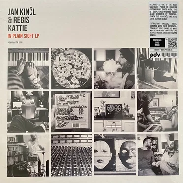 In Plain Sight by Jan Kinčl* & Regis Kattie - album cover