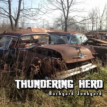 Backyard Junkyard