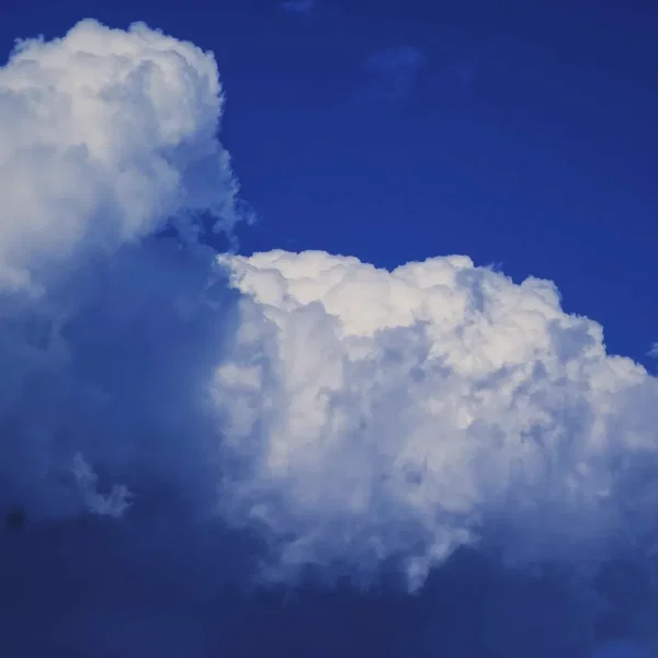In the cloud