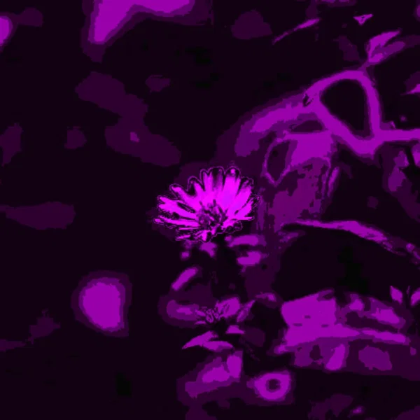 The story of the lone Daisy (slowed down)