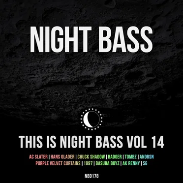 This is Night Bass: Vol. 14 by Various Artists - album cover