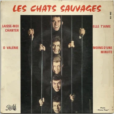 Laisse-moi chanter