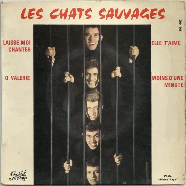 Laisse-moi chanter