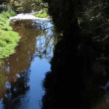 North Creek Trail (10-07-2024)