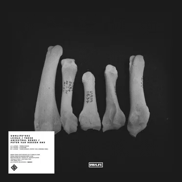 These Ancestral Bones by Leiras - album cover