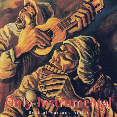 The Best Instrumental Songs from the ANDES by Various Artists - album cover