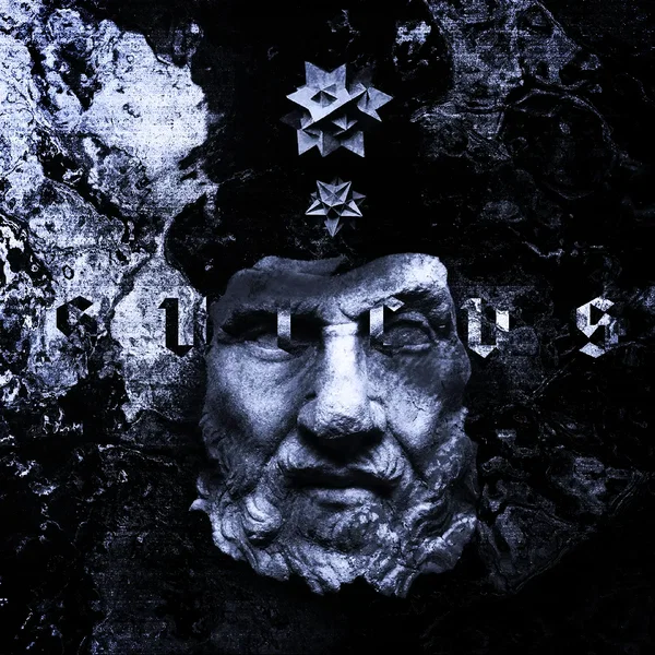 Sulcus