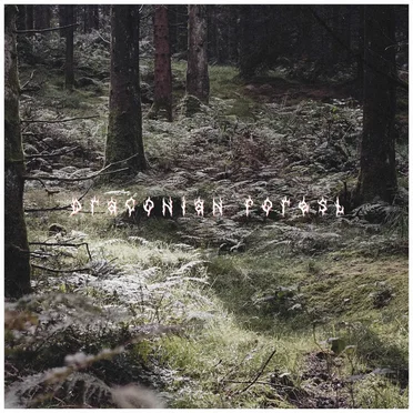 Draconian Forest