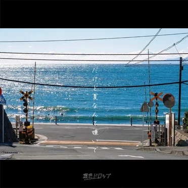 だけど夏なんて嫌いで