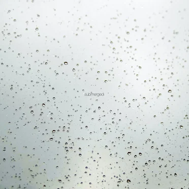submerged