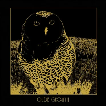 Owl by Olde Growth - album cover